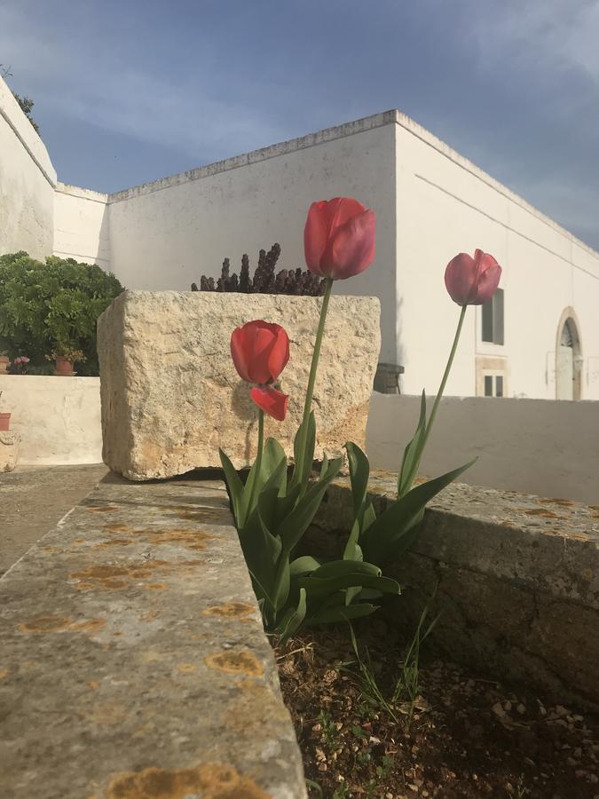 Masseria Rienzo Ostuni Εξωτερικό φωτογραφία