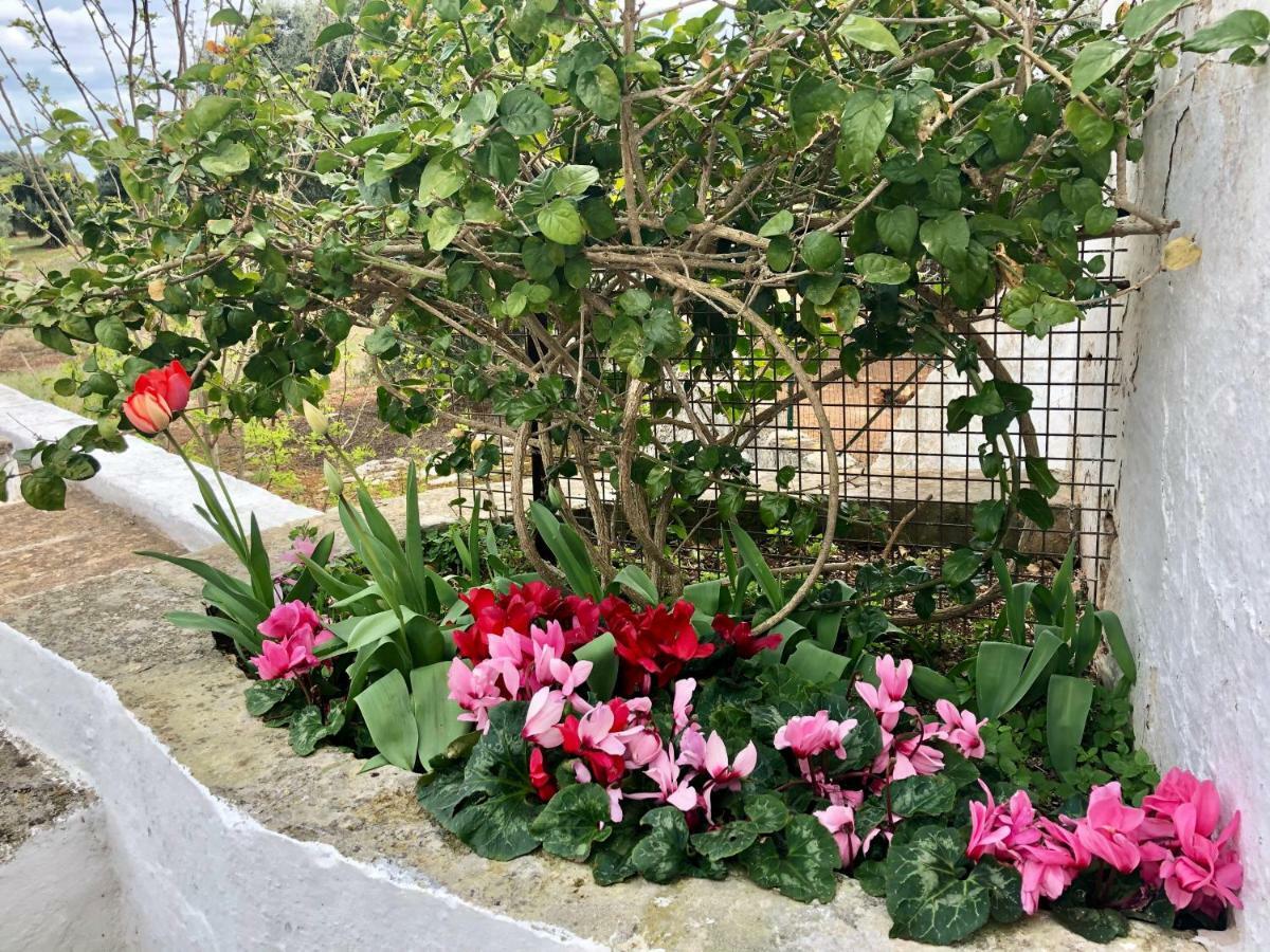 Masseria Rienzo Ostuni Εξωτερικό φωτογραφία