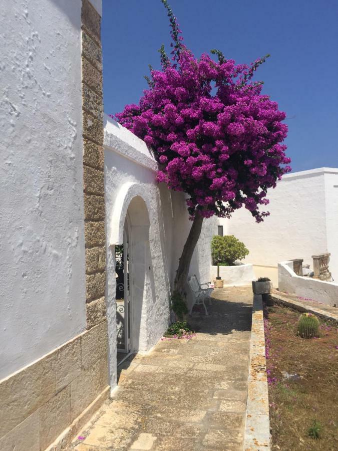 Masseria Rienzo Ostuni Εξωτερικό φωτογραφία