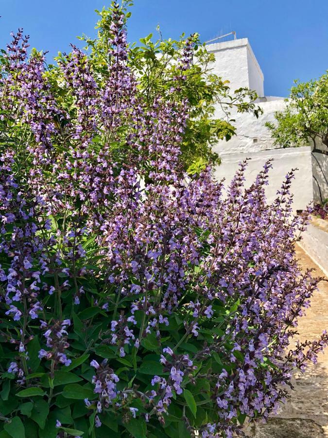 Masseria Rienzo Ostuni Εξωτερικό φωτογραφία